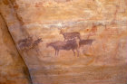 Algeria Tassili nAjjer cave painting, cattle